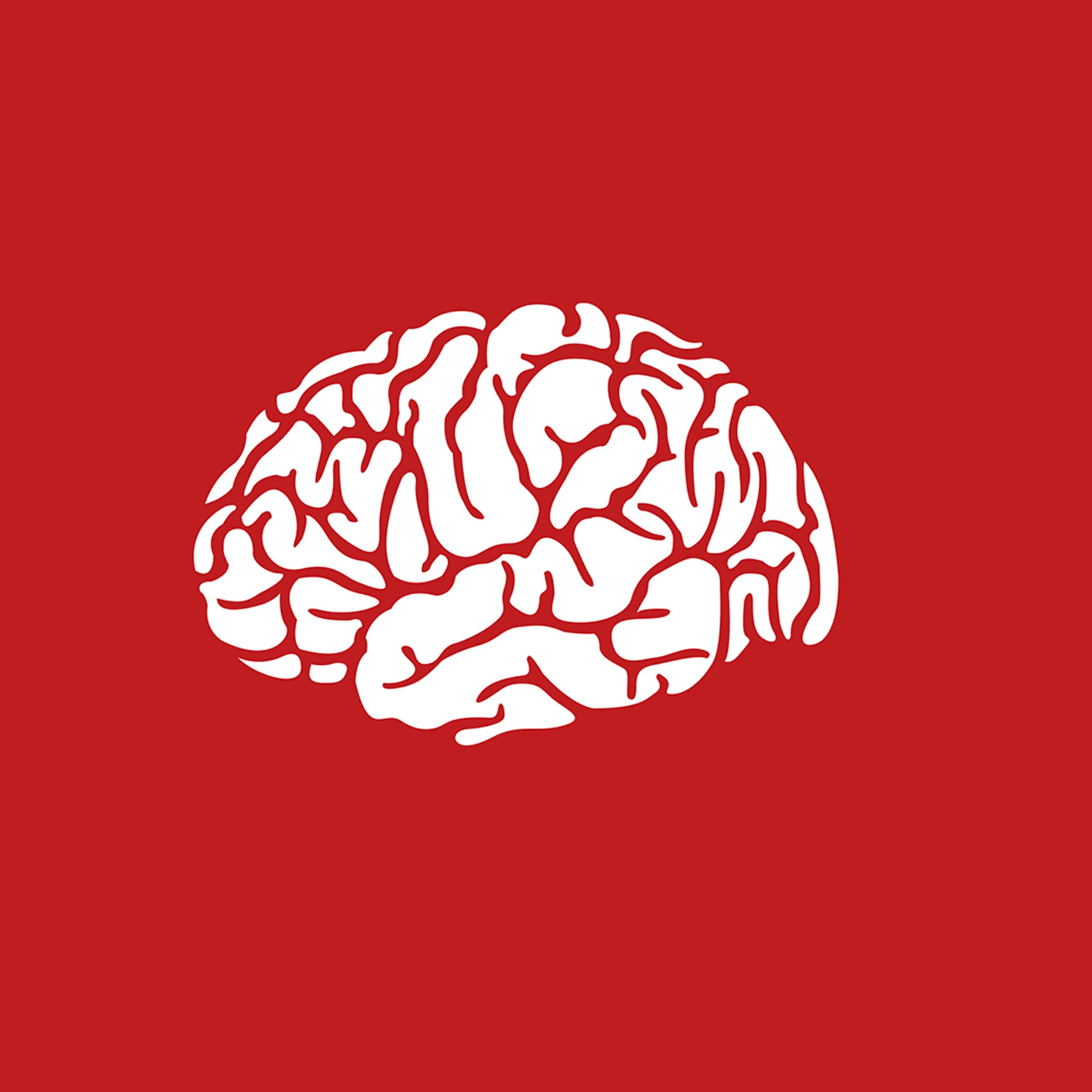 Portrait: Faktastisch