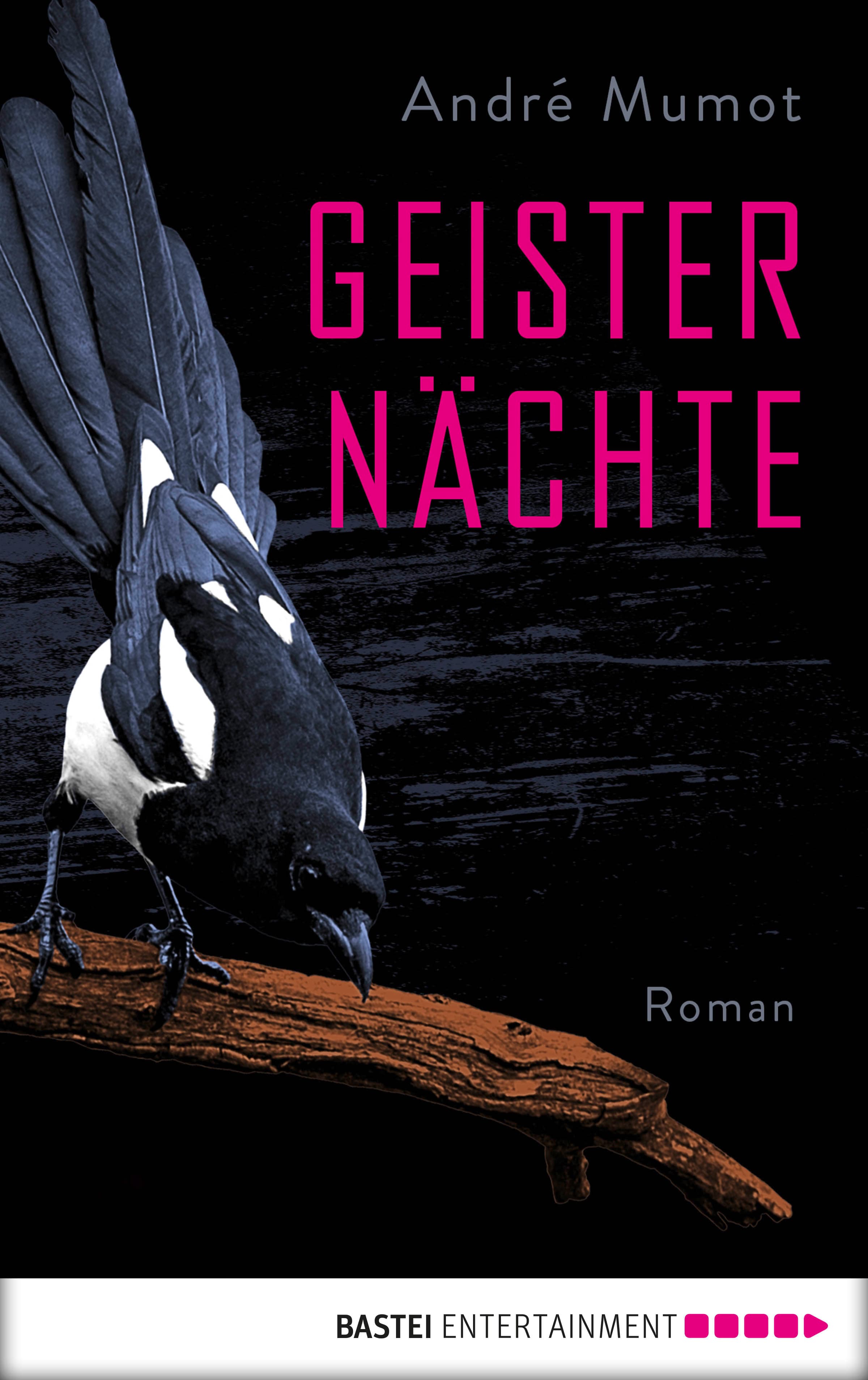 Produktbild: Geisternächte (9783732560479 )
