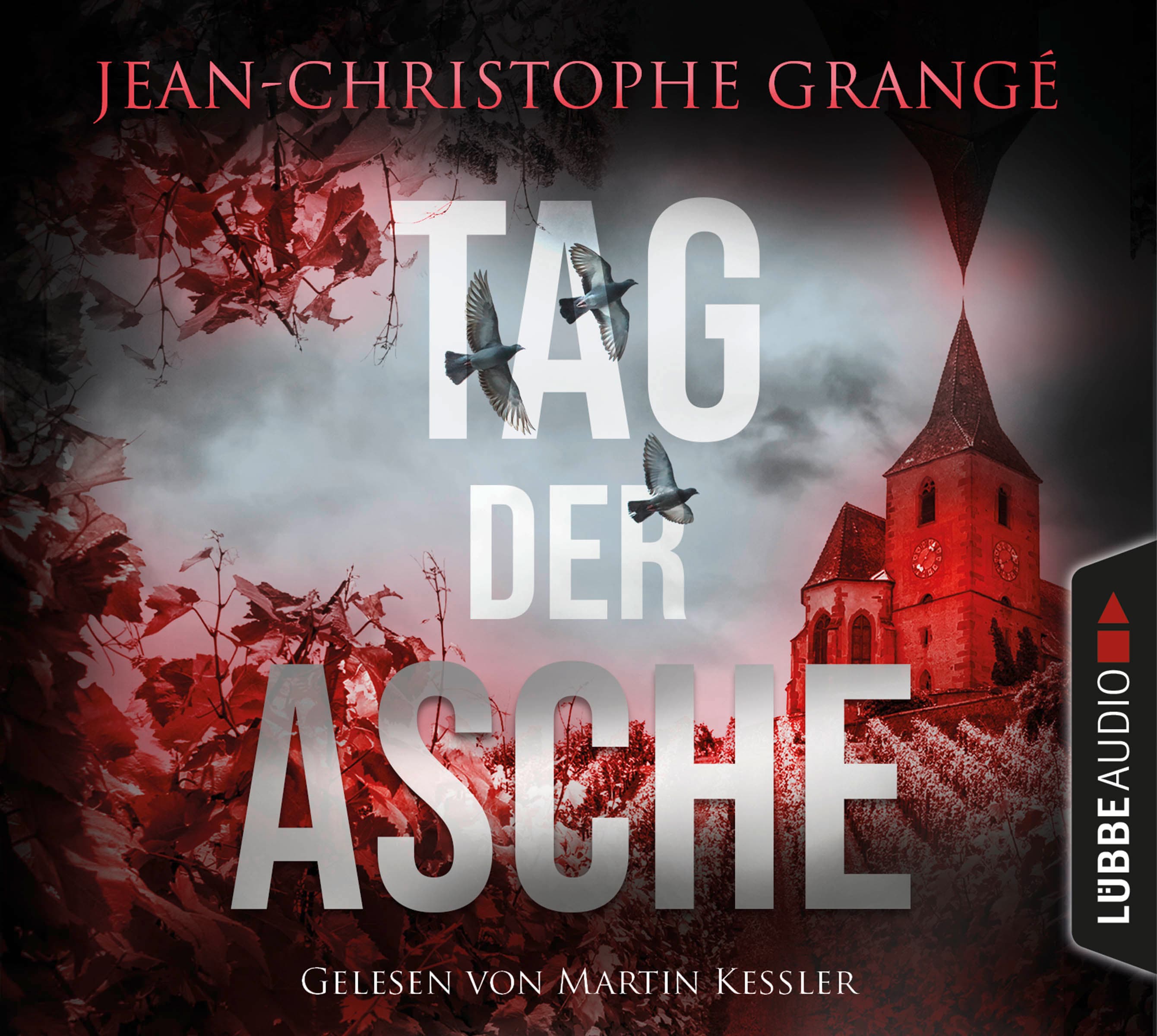 Produktbild: Tag der Asche (9783785784334 )
