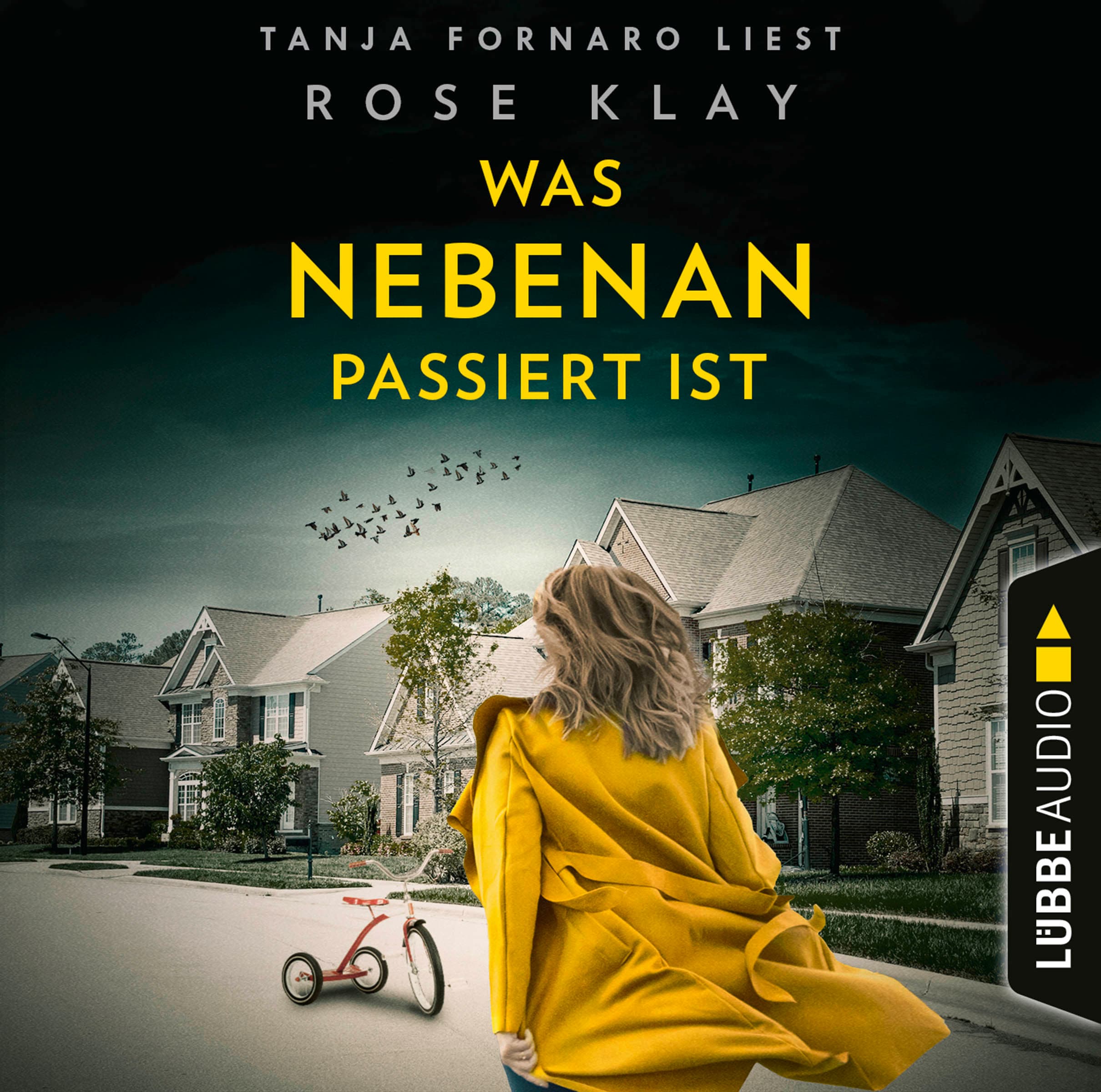Produktbild: Was nebenan passiert ist (9783754005798 )