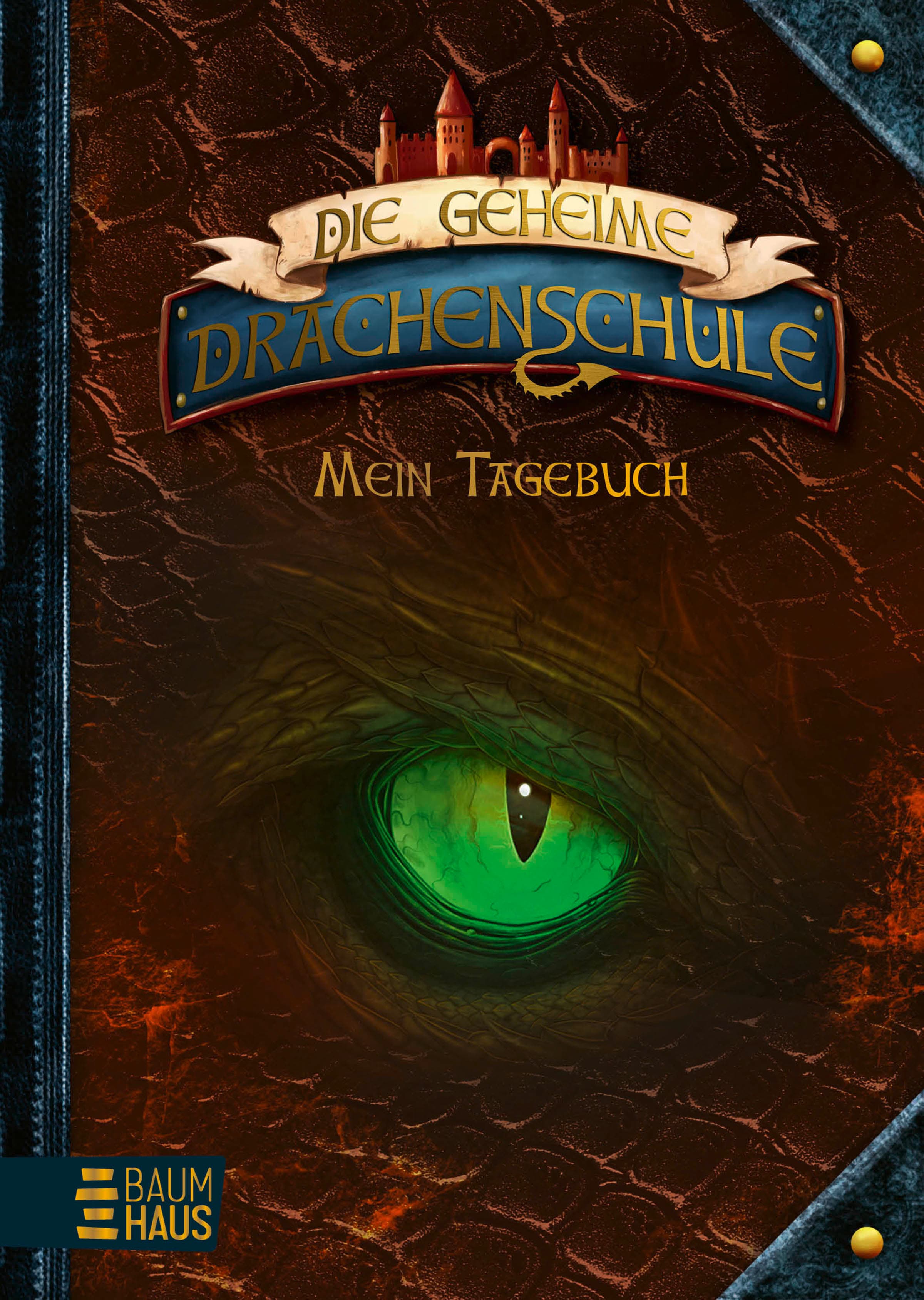 Produktbild: Die geheime Drachenschule - Mein Tagebuch (9783833908781 )