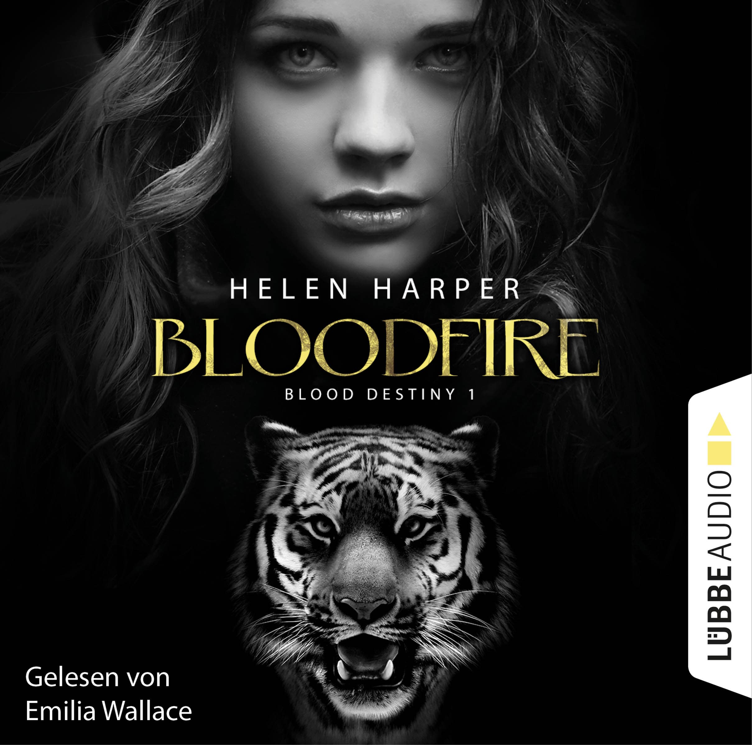 Produktbild: Blood Destiny - Bloodfire (9783838788548 )